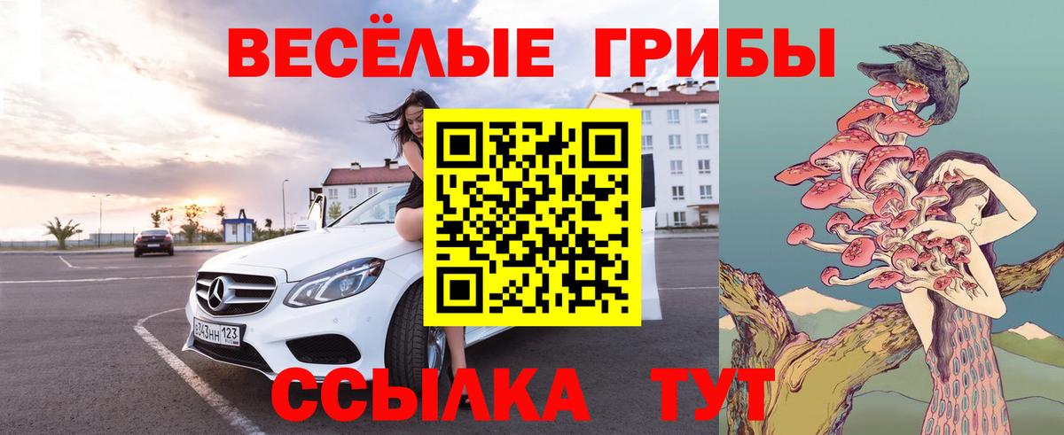 Псилоцибиновые грибы MAGIC MUSHROOMS  Псилоцибиновые грибы GOLDEN TEACHER  Вход с VPN  Ковров 